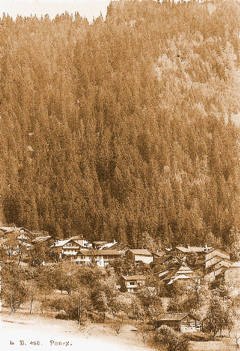 Panex en 1910